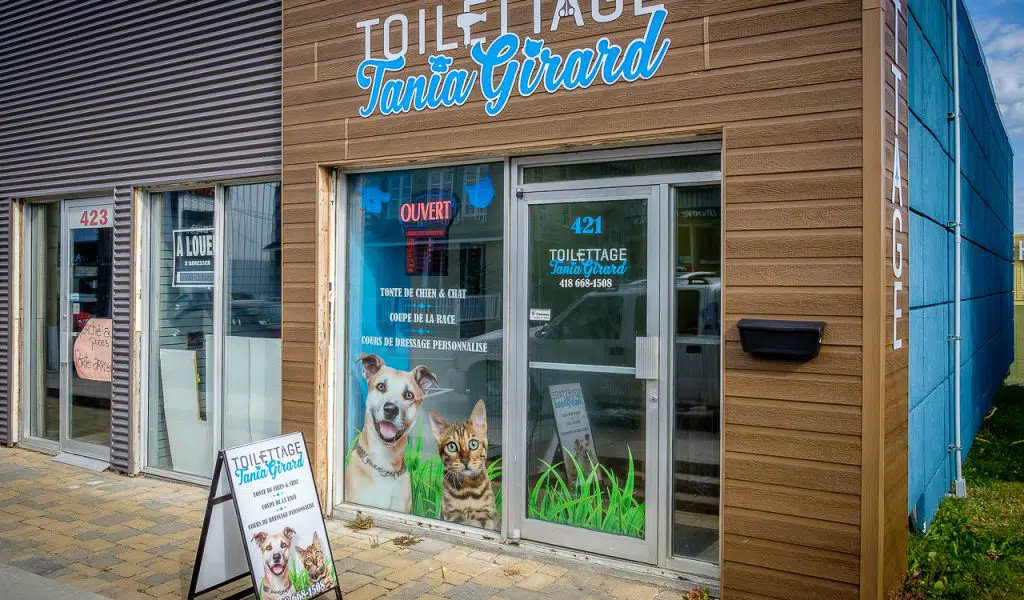 Toilettage Tania Girard 