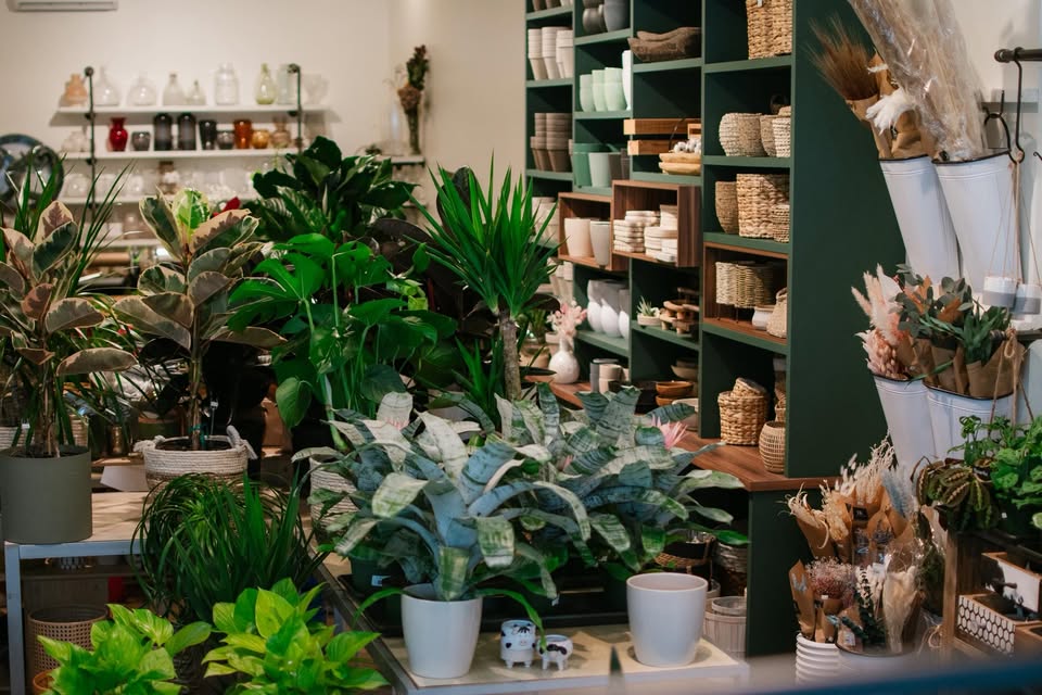 Fleuriste Racine Karé 